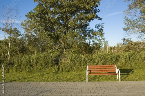Boardwalk with empty bench