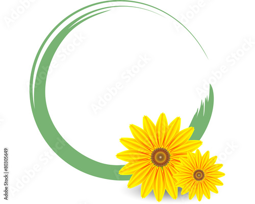 Sunflower circle photo