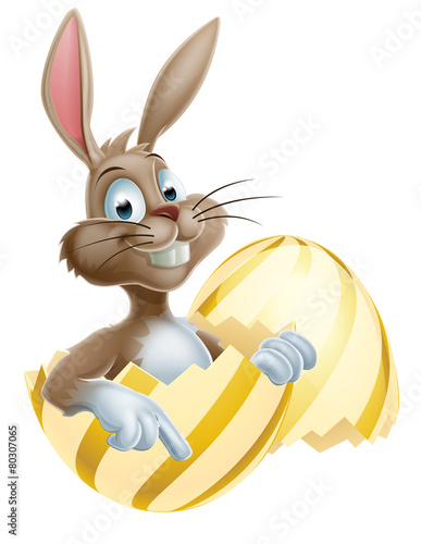 Easter Bunny in Egg