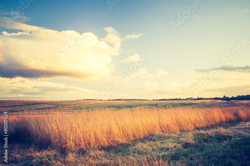 Vintage photo of withered grassland