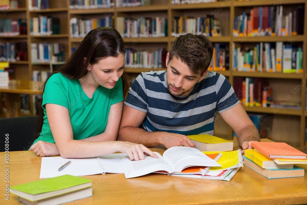 Students studying together in the library Students studying together in the library