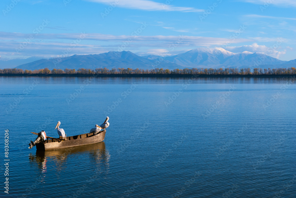 A fishing boat with roosting pelicans in lake kerkini Greece