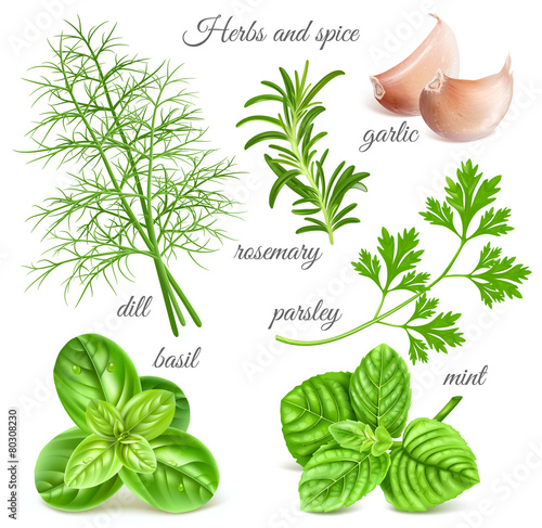 Herbs and spice