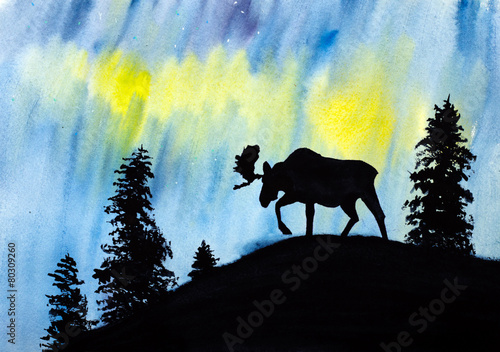 moose and northern lights © hikolaj2