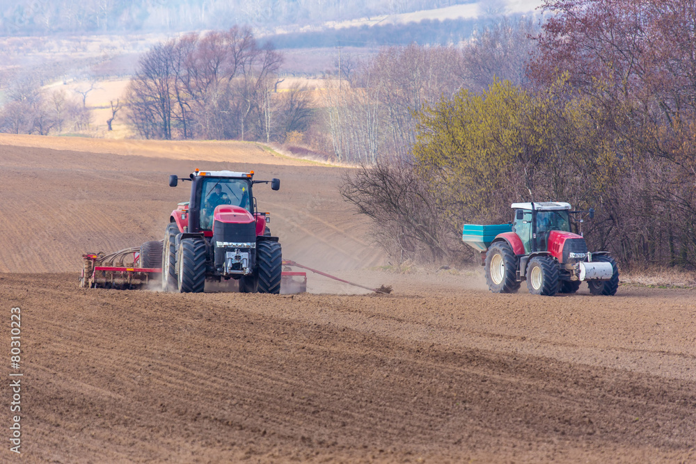 Fototapeta premium Spring field works