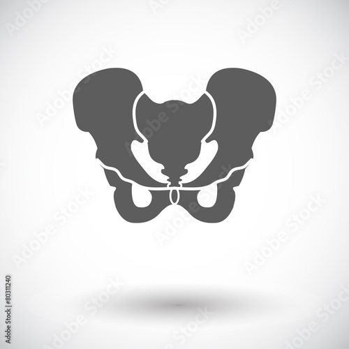 Pelvis