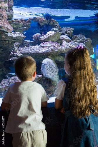 Little siblings looking at fish tank