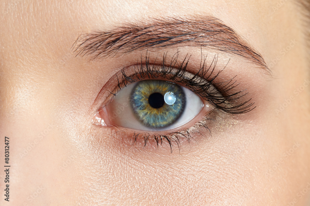 Macro image of beautiful woman eye Macro image of beautiful woman eye