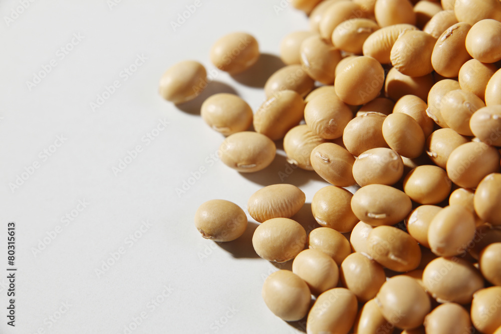 soy bean soy bean