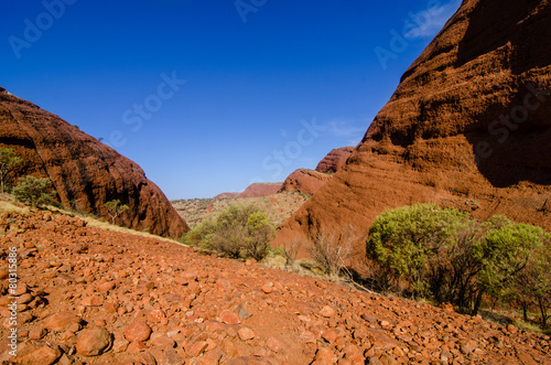 Australian Desert (outback)
