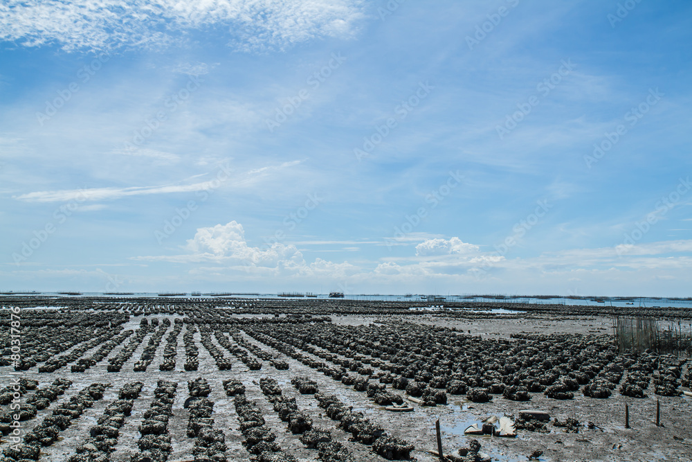 Obraz premium Oyster farm Ban Ang Sila, Thailand