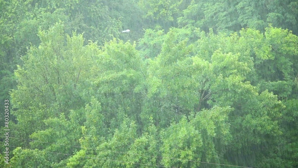 heavy rain in city heavy rain in city