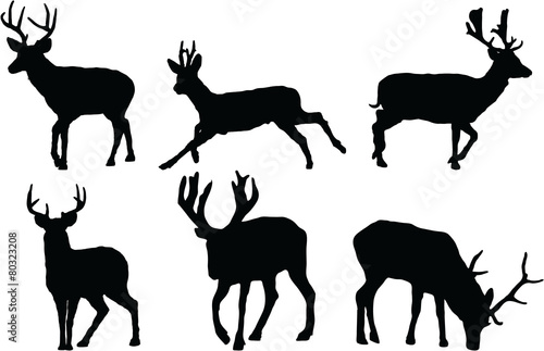 silhouettes of the deer