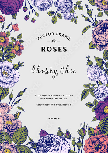 Vintage vector frame. Garden and wild roses.