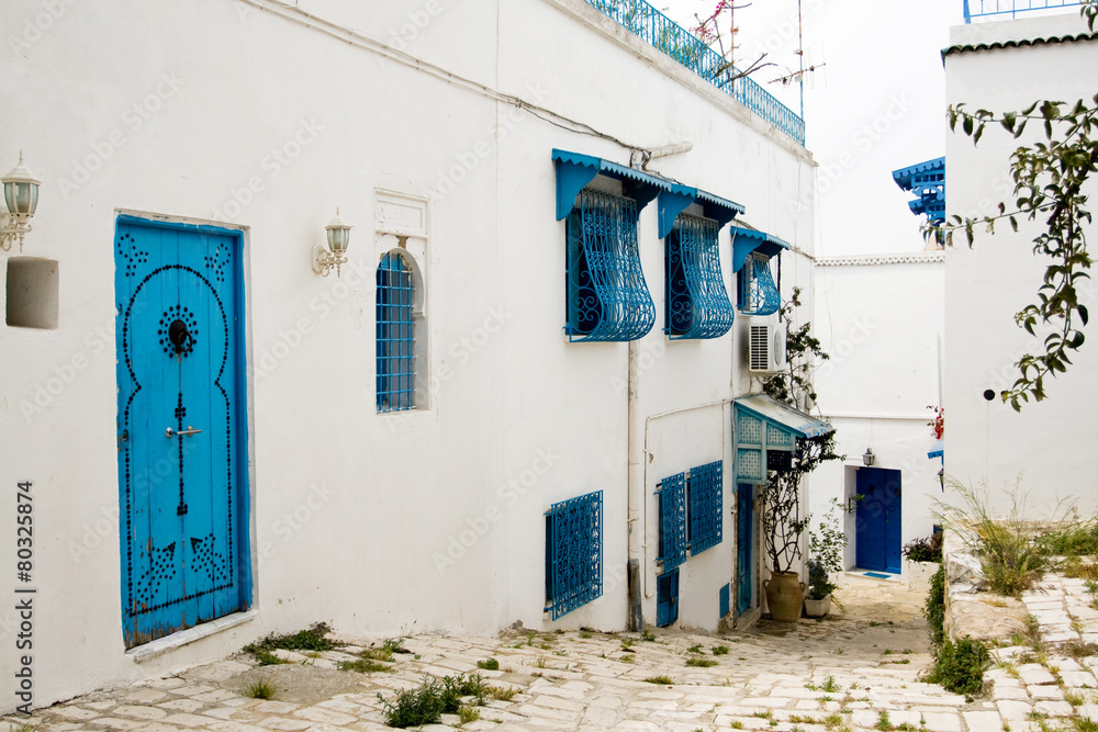 Blue doors, window and white wall of building in Sidi Bou Said,
