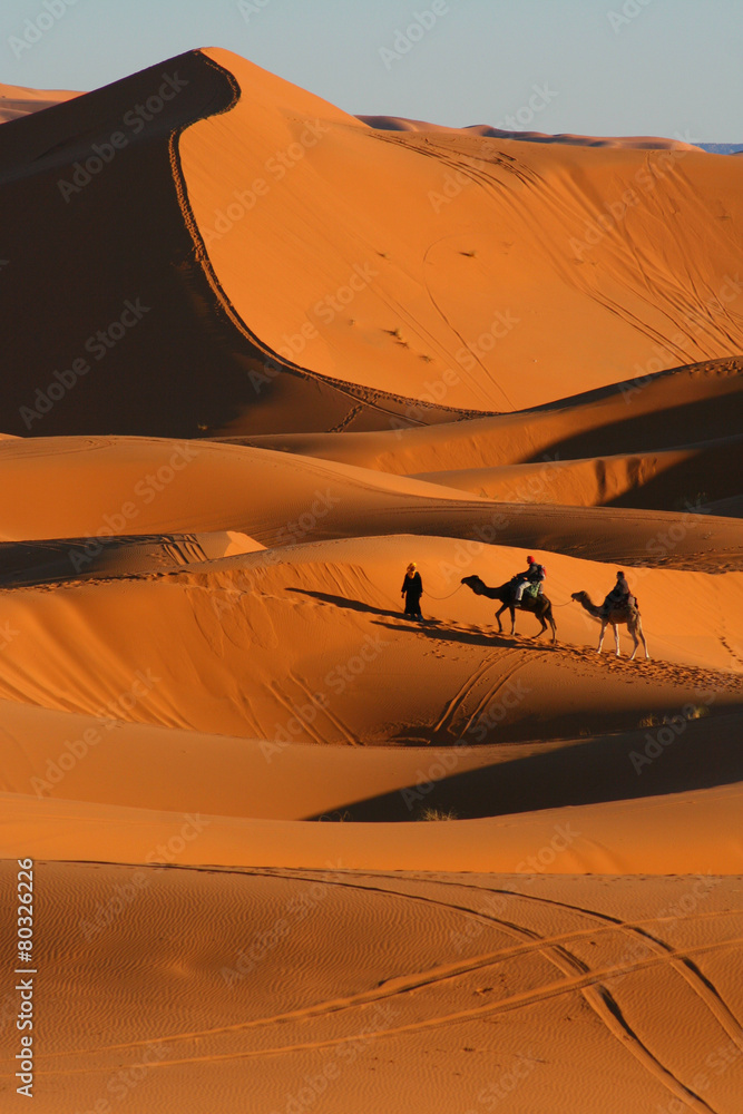 balade en dromadaire dans le désert de Merzouga - obrazy, fototapety, plakaty 