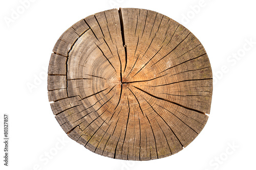 Holzstamm