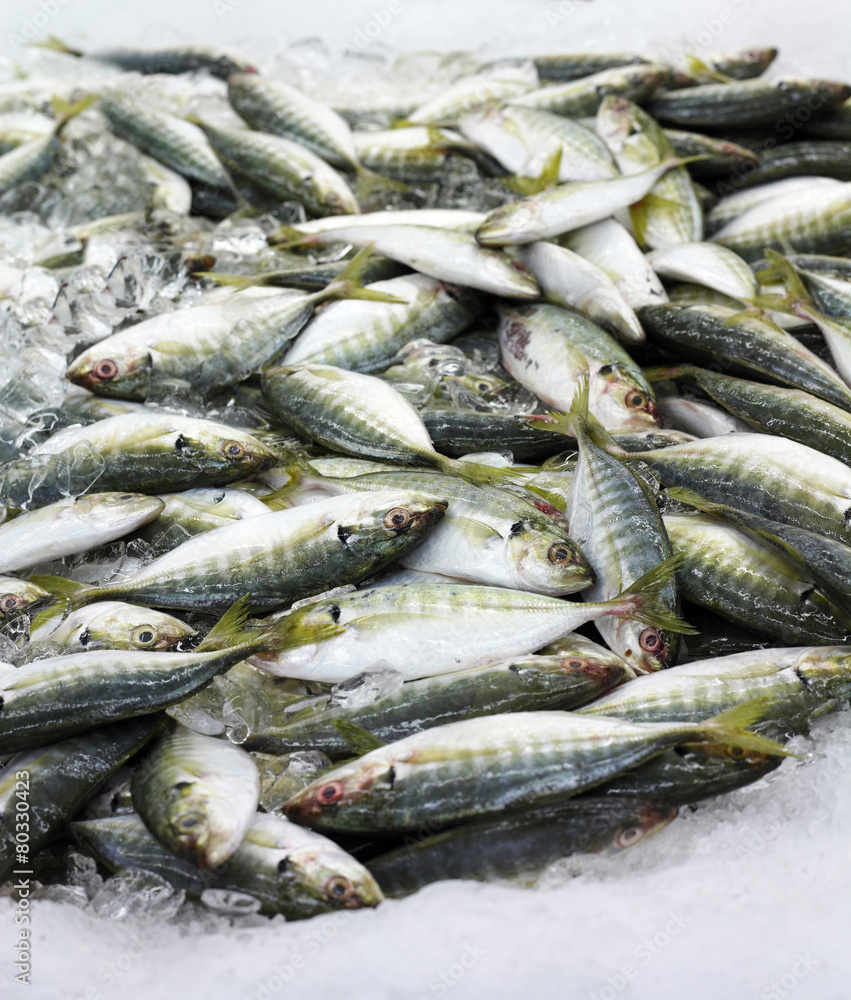 Fototapeta premium Fish market