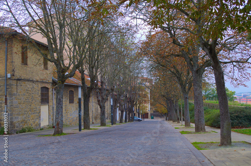 brick houses are stretched alonside tree alley in pamplona photo