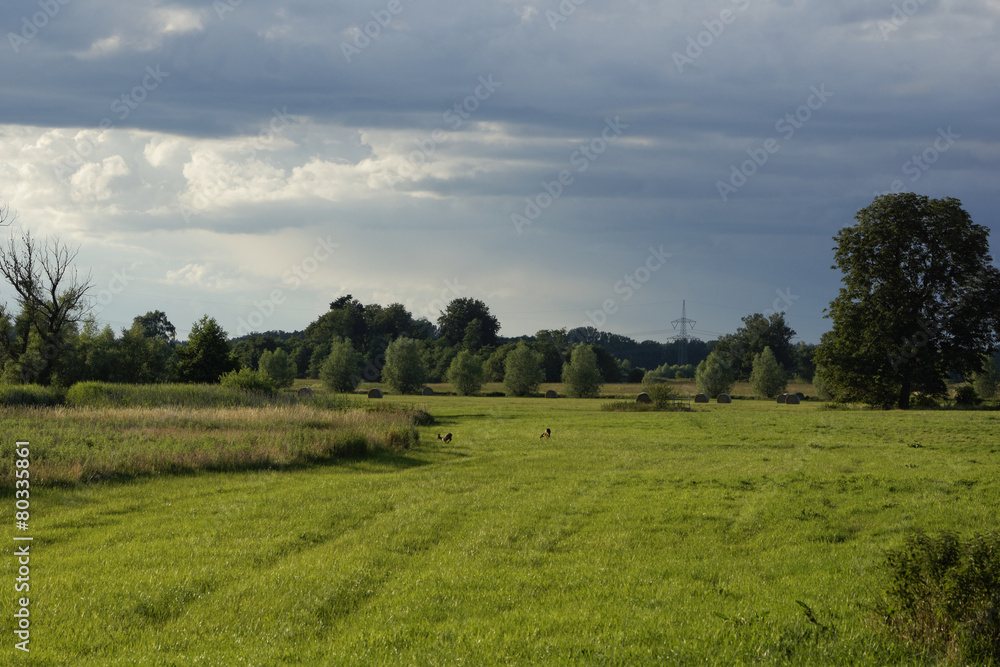 Landschaft  bei Rogeez, Mecklenburg-Vorpommern