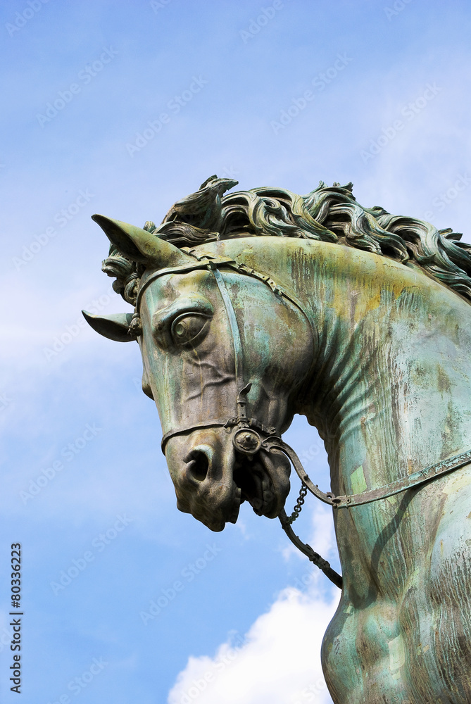 Horse head (detail of the statue of Cosimo de ' Medici in Floren