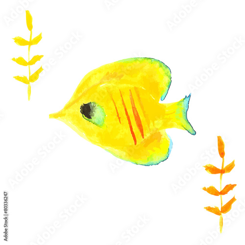 Butterflyfishes