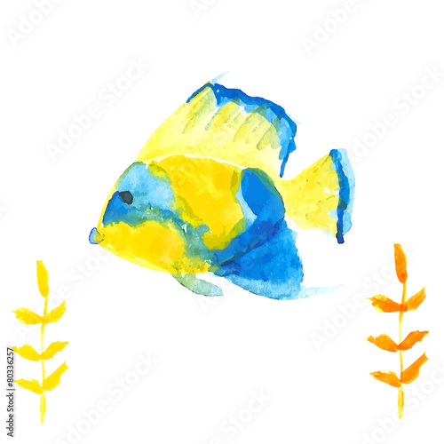 Angelfish