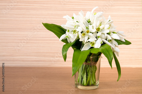 Wallpaper Mural snowdrops Torontodigital.ca