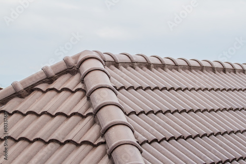 Obraz na płótnie Brown tile roof w salonie