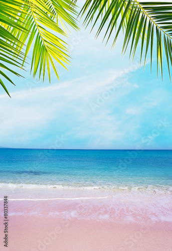 pink shore under palm branches on a clear day