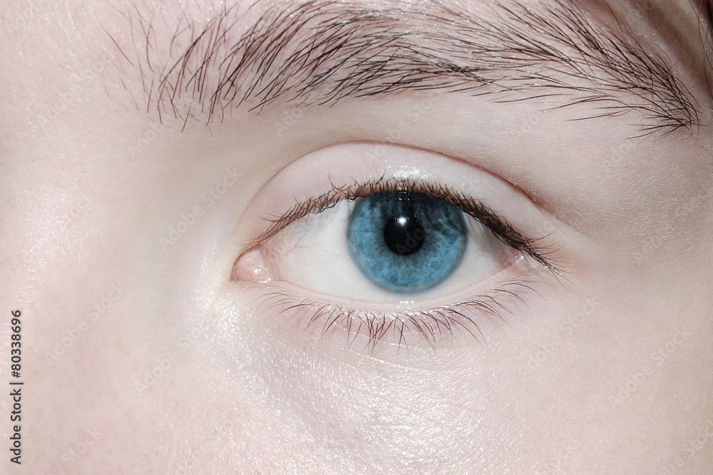 Obraz premium Niebieski detal