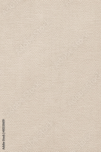 Artist Primed Linen Duck Canvas Coarse Grain Grunge Texture