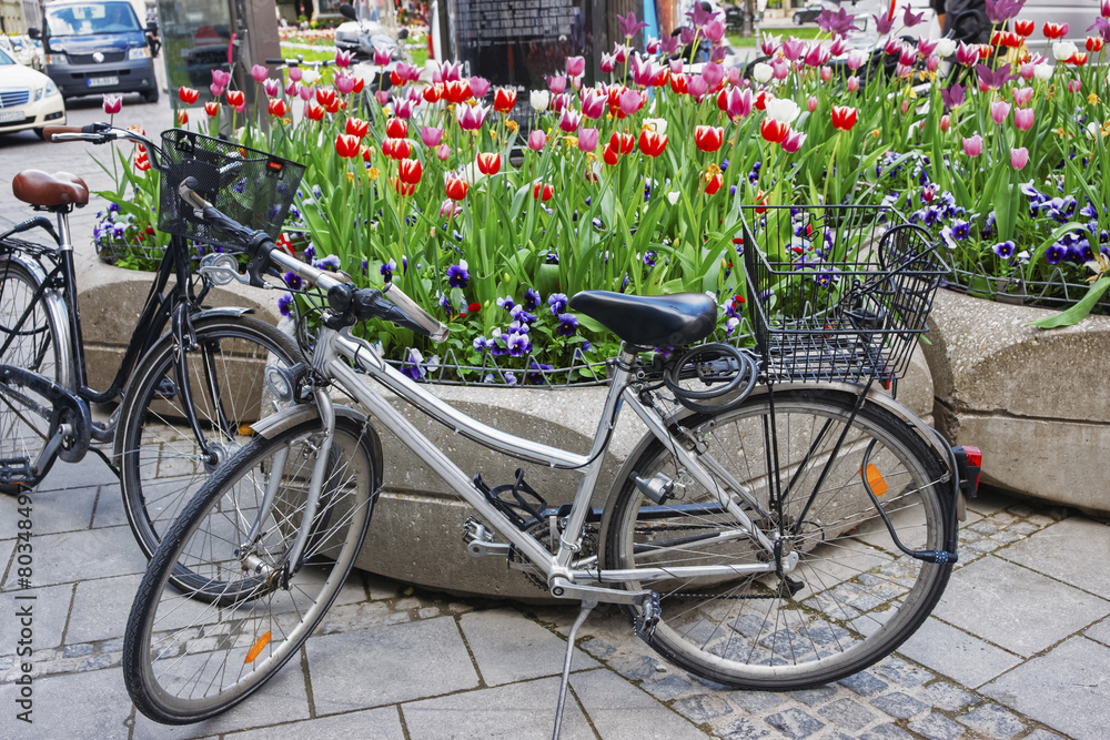 Bicycles near street flowerbed