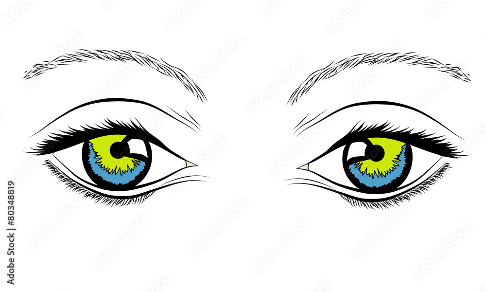 The woman's eyes The woman's eyes