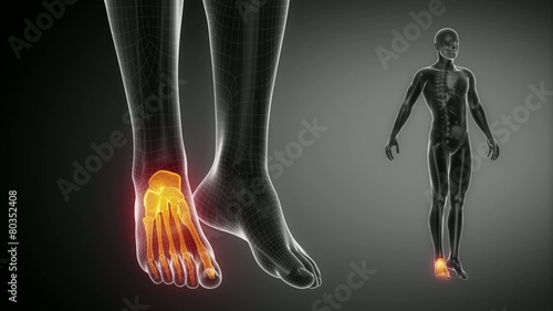 ANKLE bone skeleton x-ray scan in black photo