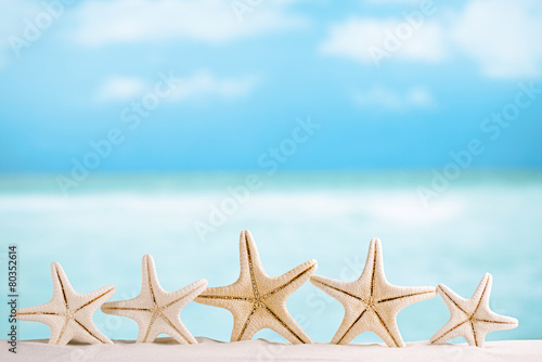 white starfish with ocean, white sand beach, sky and seascape