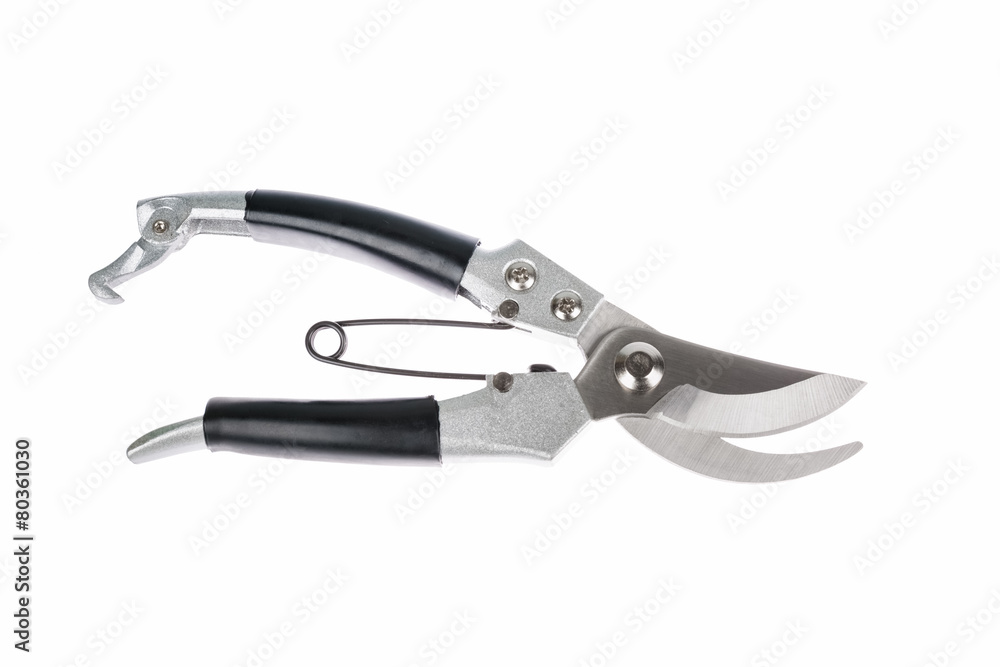 garden pruner isolated garden pruner isolated