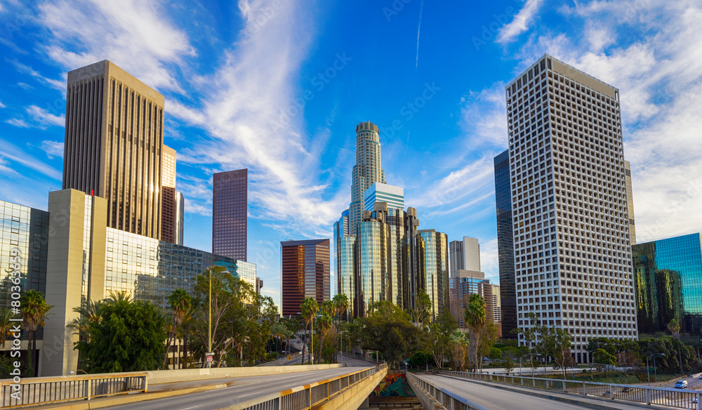 Naklejka premium Panoramę miasta Los Angeles
