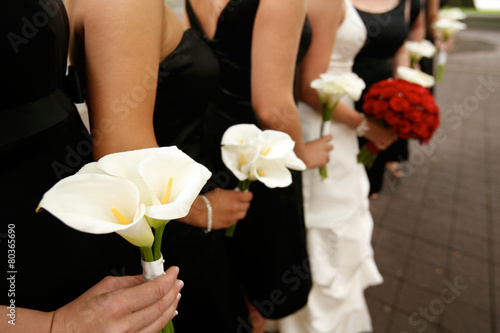 Row of Bride and Bridesmaids with Bouquets