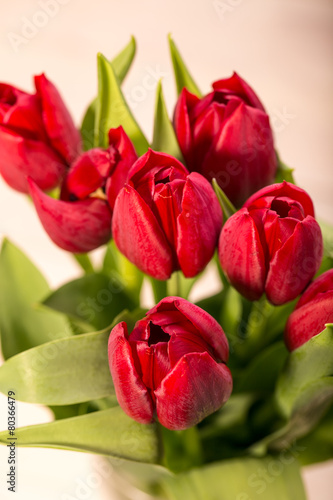 Red tulips on an antique wooden background