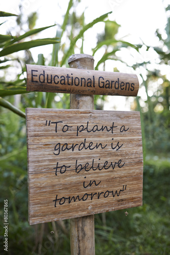 educational garden in a school