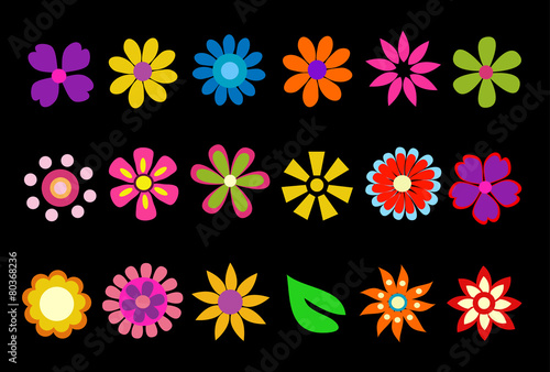 colorful spring flowers vector illustration