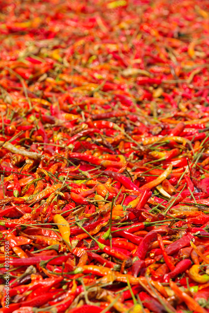Dried Red Chilli Background