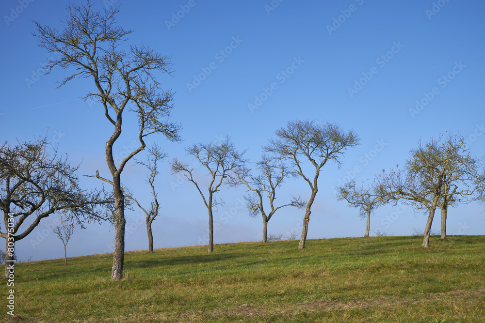 Herbst im NSG Hohe Wann im Naturpark Haßberge, Unterfranken Herbst im NSG Hohe Wann im Naturpark Haßberge, Unterfranken