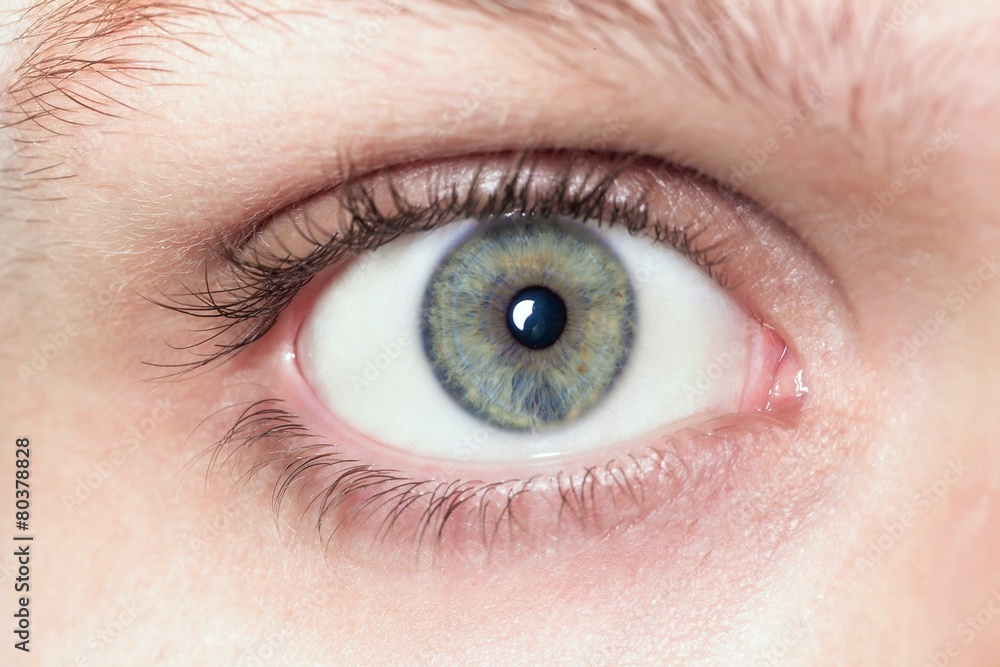 Eye. Abstract Security Iris or Retina Scanner being used on an Eye. Abstract Security Iris or Retina Scanner being used on an