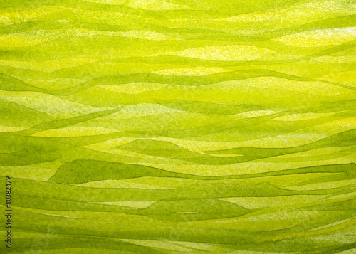 horizontal spring grass background painted with gouache