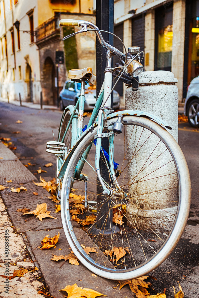 Italian Bicycles