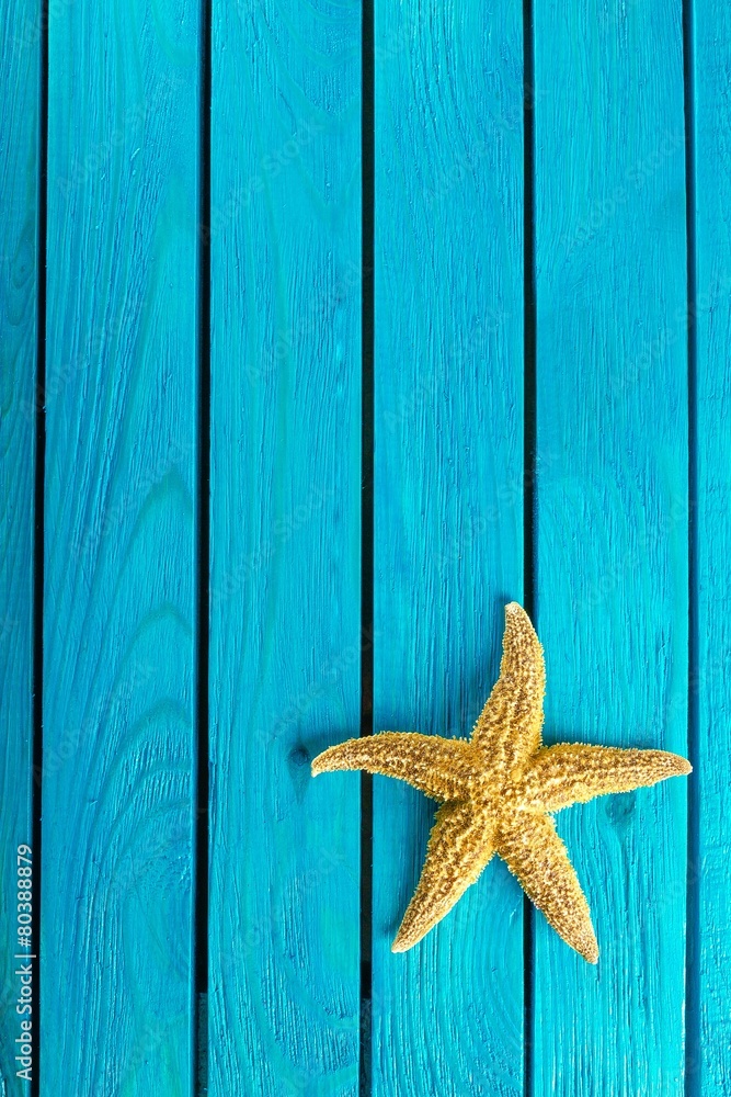 Shell. Frame with Few marine items on a wooden background . Sea Shell. Frame with Few marine items on a wooden background . Sea