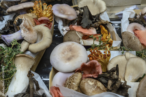 Variety of gourmet edible exotic mushrooms on a market stall
