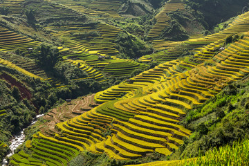 Handdoek met foto Rijstvelden Rijstterrassen heuvels Mu Cang Chai  © JKLoma